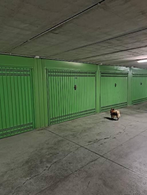 Ferienwohnung Centrale Vicino Spiagge E Ciclabile + Box-Auto ! Taggia Exterior foto